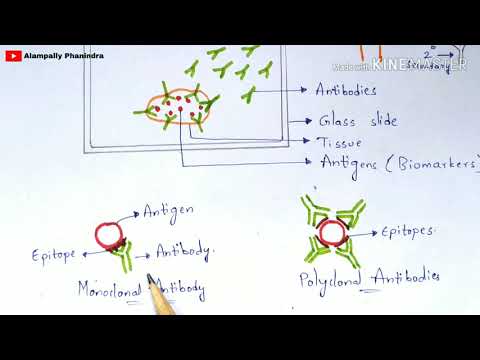 Radial immunodiffusion Immunotechnology Bio science