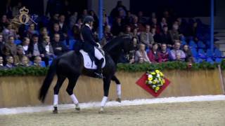 Video von Negro