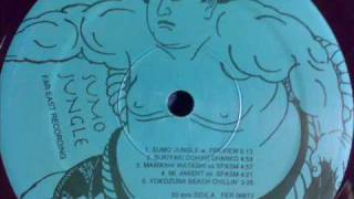 Soichi Terada - Mi Amient vs Spasm - Sumo Jungle Far East Recording