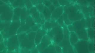 Einschlafmusik, Entspannungsmusik, Meditationsmusik, Sound of Sleep, Johannes Koeniger, PanAmbient,