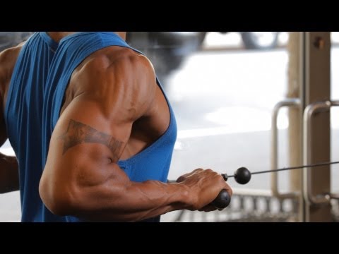 How to Do a Standing Row | Back Workout