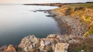 JAMES  ASHER  -  Red desert