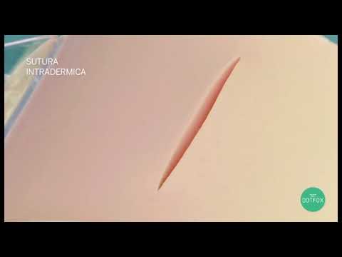 Tutorial suture punto intradermico Dotfox