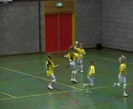 westfriezen mini 1 zaal kampioen 2008