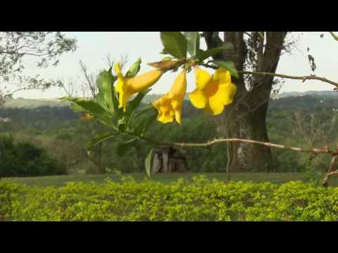 Diário de Oração - 14/02/2017 - Fermento (Marcos  8, 14 - 21)