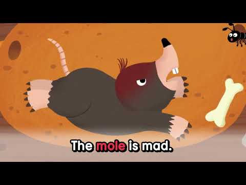 Smart Phonics 3rd Edition 3 Unit 6 Story - Long Vowel o