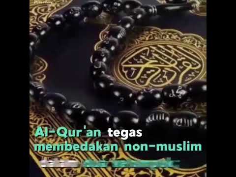 Lakum dinukum waliyadin