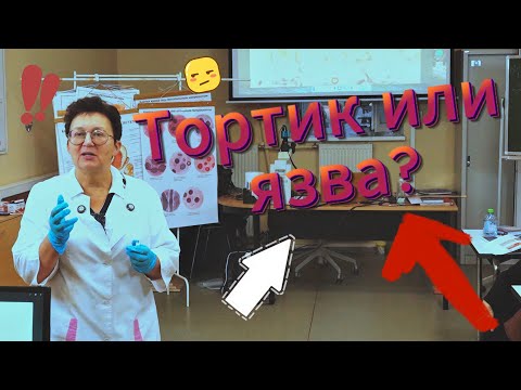 Что еда делает внутри нас?