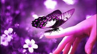 Alexa Feser feat. Curse - Wunderfinder