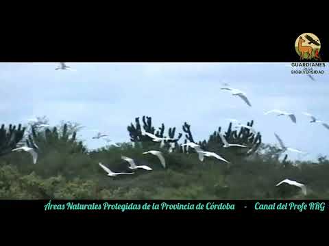 Áreas Naturales Protegidas de la Provincia de Córdoba.