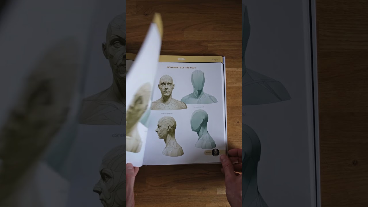 Form of the Head and Neck by Anatomy For Sculptors​ #anatomy #digitalsculpt  #characterdesign #art