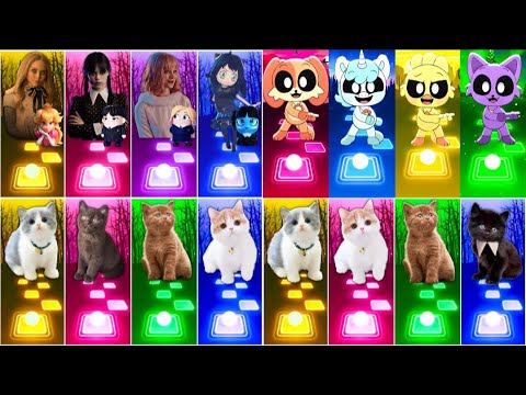 📹 ALL CUTE CATS PT.5 - IMAGINE DRAGONS ENEMY - JISOO FLOWER   SHAKIRA WAKA WAKA - LISA MONEY