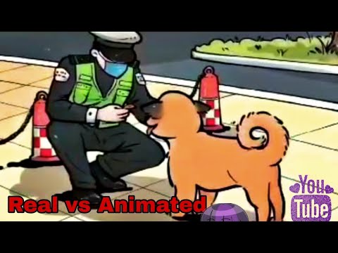 Real vs Animated Pet Scenes: Adorable and Hilarious Moments!