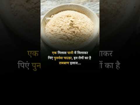 Health Benefits Of Punarnava#punarnava #punarnavaayurveda #punarnavawellnessresort