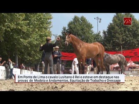 Programa da Equitação TV, sobre a 11.ª edição da Feira do Cavalo de Ponte de Lima