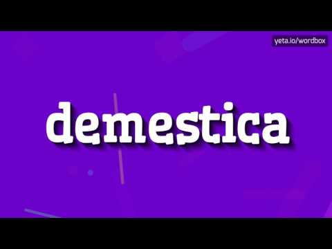 DEMESTICA - HOW TO PRONOUNCE IT!?