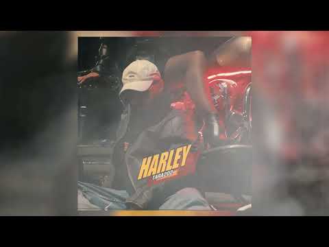 TARA202 - HARLEY