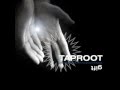 Taproot - Mirror's Reflection 