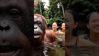 Download lagu Agus lagi mandi bareng cewek cantik #shortvideo #viral #funny mp3