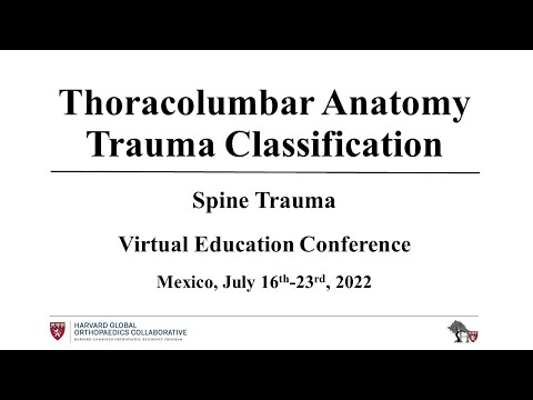 Thoracolumbar Anatomy, Trauma Classification