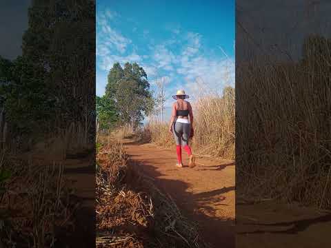 Caminhada sertaneja Comunidade Santa Rita município Vianópolis Goiás Brasil