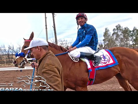 POPEYE VS PATITO FEO | CARRERAS DE CABALLOS | DE LA GARZA PHOTOFINISH