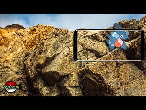 Tips For Gible Community Day | Gible Community Day | Community Day | Gible