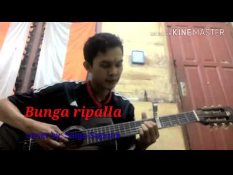 Bunga Ripalla lagu bugis gitar