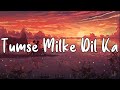 Tumse Milke Dil Ka Slowed Reverb Sonu Nigam Altaf Sabri Hashim Sabri Text Audio