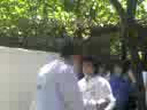 Cabe Vs. Pope : LA VENGANZA DEL CABE