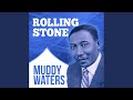 Take A Walk With Me - Muddy Waters - Topic Take A Walk With Me