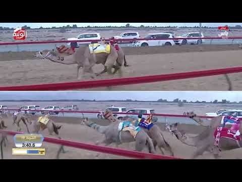  ش 19 (الشامخة) لـ عبدالله عبيد بالحلوس العامري  7:24:77 ، ختامي المرموم 2026/03/24 لقايا