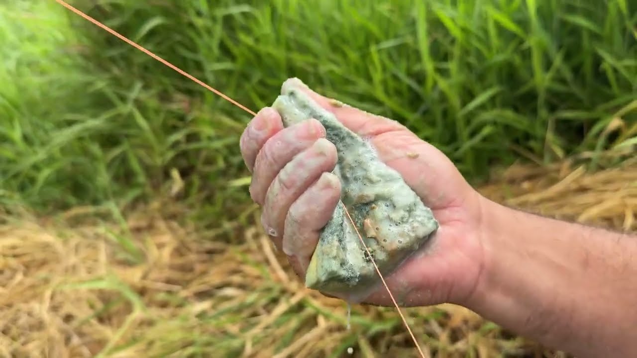 FESTIVAL DE PIPA BAMBU X BAMBU E CEROL PASSADO 