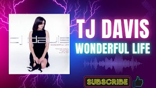 TJ Davis – Wonderful Life (Ian Van Dahl Mix- 12" Edit) (A1) (2001)
