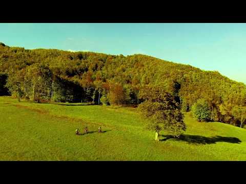 Via Vandelli in E-Bike con i Tour Stray Dogs