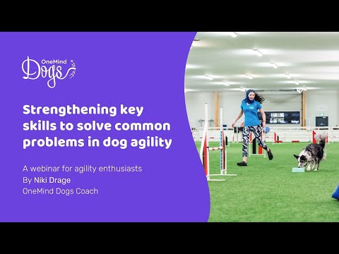 FREE Webinar: Strengthening key skills to solve common problems in dog agility