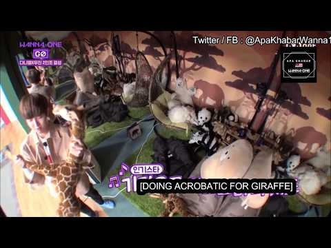 [ENG] Wanna One Go Ep.5 - The Giraffe Also Suffers Today (ft Kang Choding & Park Sparrow)