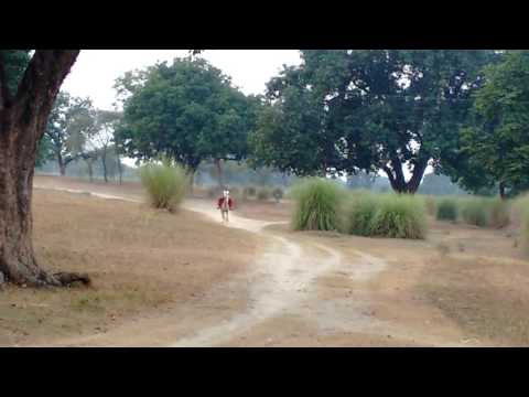 Horse murtuza chafri