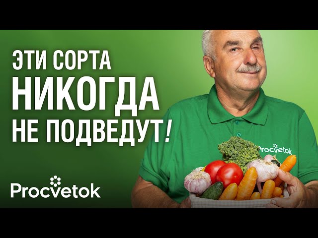 10 СОРТОВ ОВОЩЕЙ ДЛЯ НОВИЧКОВ И ЛЕНИВЫХ! Завалят урожаем при любой погоде и без особого ухода
