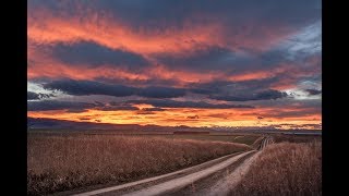 Mat McHugh - Strange Days (Acoustic Cover)