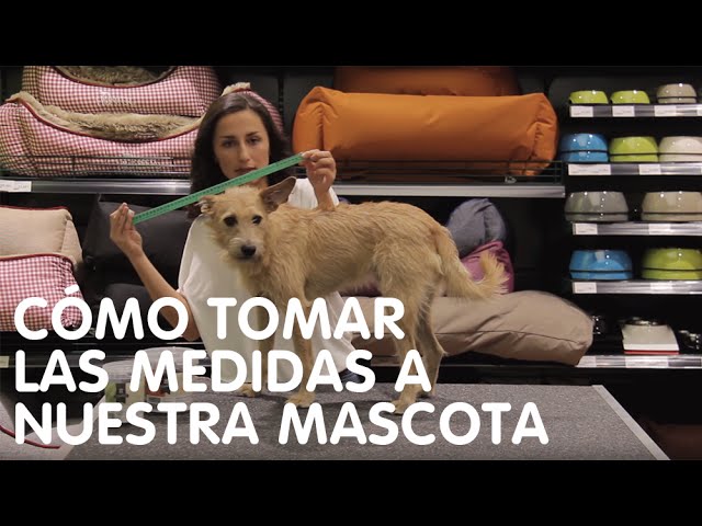 Vídeo relacionado con Eastlion Ropa Perro,Cálido Sudadera con Capucha para Perros Algodón Suéter Chaqueta Abrigo Costume Pullover para Mascota Pequeño Perro Gato (Rojo,L)