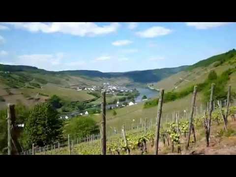 Blick auf Reil vom Moselsteig aus