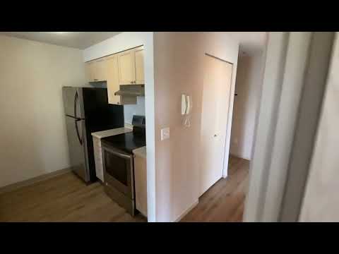 Plaza 45 property video