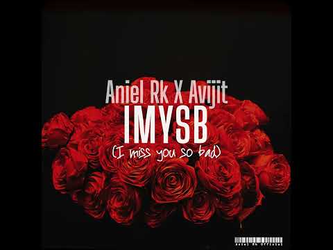 Aniel Rk x Avijit_IMYSB (Official Audio) [Lyrics in description]