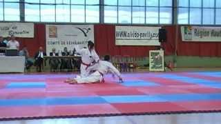preview picture of video 'Taekwondo Club de villers Ecalles - Gala des arts Martiaux de Barentin le 25-05-2013'