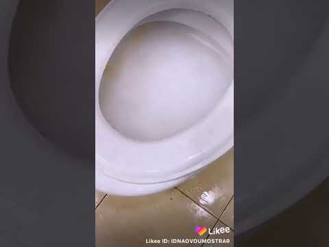 Como limpar vaso super rápido ?