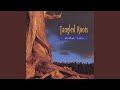 Tangled Roots/magic Foot