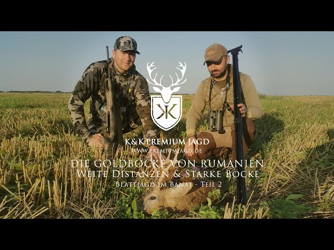 Goldböcke Rumänien Teil 2 - Weite Distanzen & Reife Böcke - Jagdtage der Extraklasse