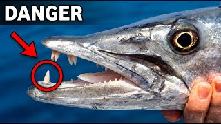 Dangers of Fishing - Can happen to Anyone!