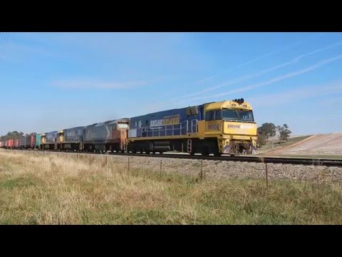 Junee Trains NR100, DL44, NR110 & NR13 with 5MW2
